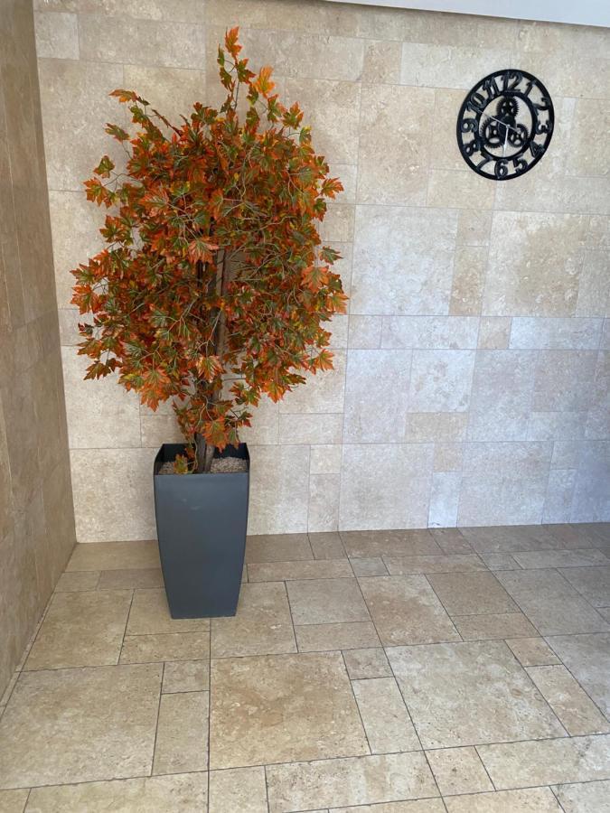 Mobersham'S House In Acre Apartamento Exterior foto
